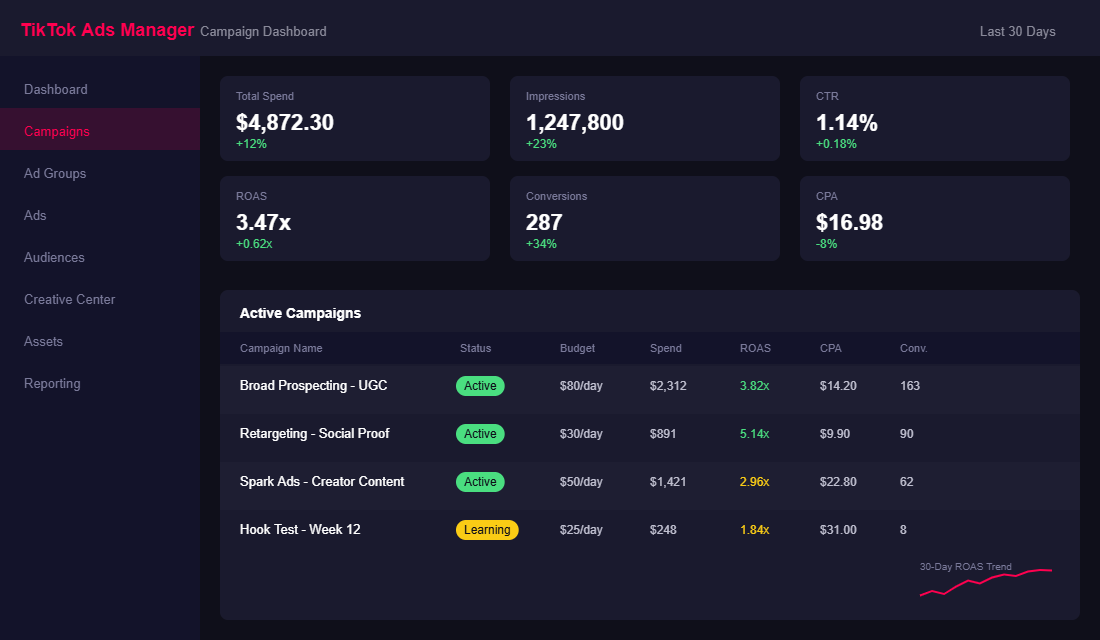 TikTok Ads Manager campaign dashboard showing ROAS, CPA, and conversion metrics for Shopify store