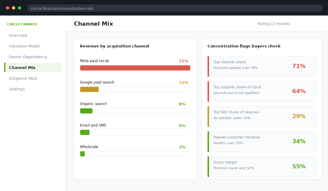 Revenue by channel with concentration risk flags buyers check